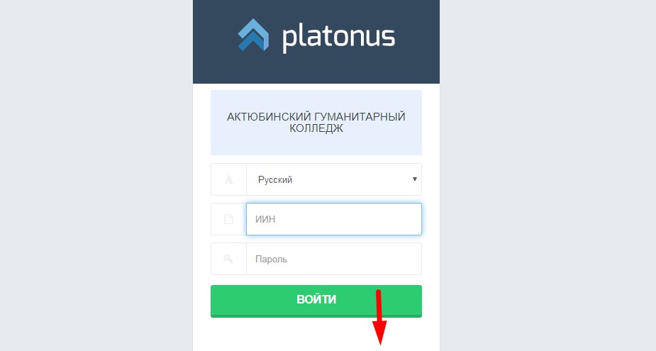 Платонус ену. Колледж platonus.