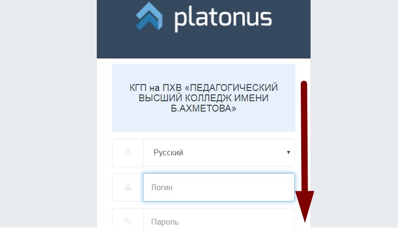 Платонус пгпу. Платонус педколледж б Ахметов. Платонус ППК. Педагогический высший колледж имени б.Ахметова. Платонус Баишева.